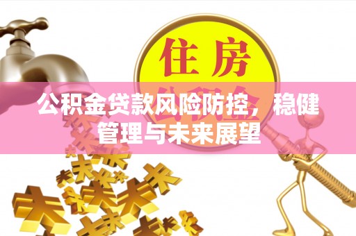 博尔塔拉蒙古公积金贷款风险防控，稳健管理与未来展望