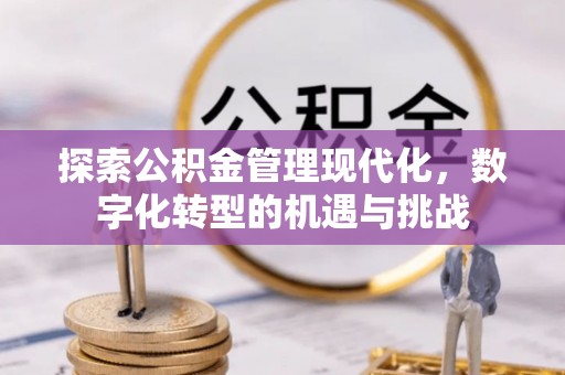博尔塔拉蒙古探索公积金管理现代化，数字化转型的机遇与挑战