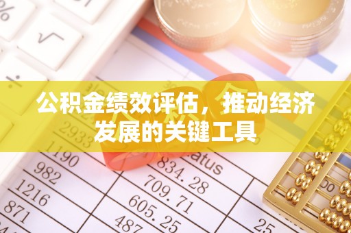 博尔塔拉蒙古公积金绩效评估，推动经济发展的关键工具