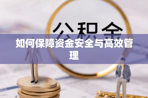 博尔塔拉蒙古如何保障资金安全与高效管理