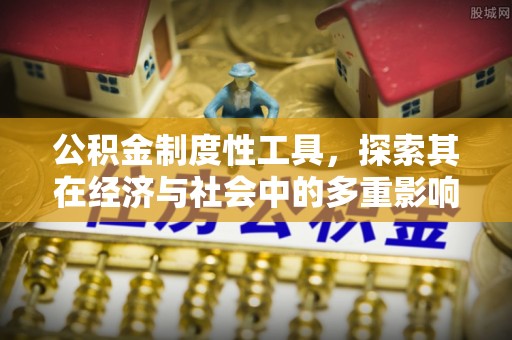 博尔塔拉蒙古公积金制度性工具，探索其在经济与社会中的多重影响