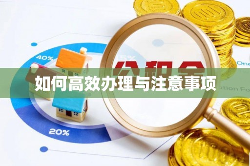 博尔塔拉蒙古如何高效办理与注意事项