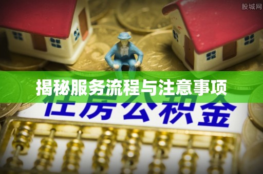 博尔塔拉蒙古揭秘服务流程与注意事项