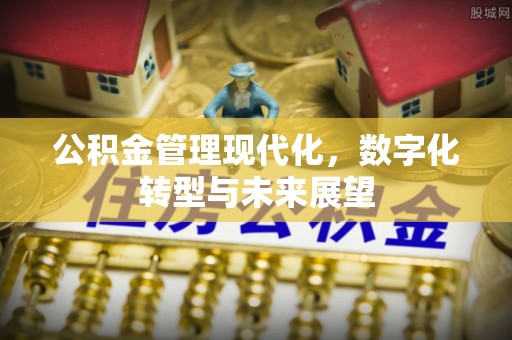 博尔塔拉蒙古公积金管理现代化，数字化转型与未来展望