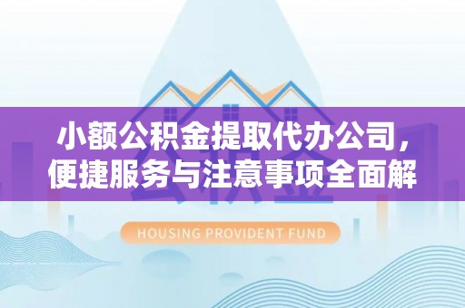 博尔塔拉蒙古小额公积金提取代办公司，便捷服务与注意事项全面解析