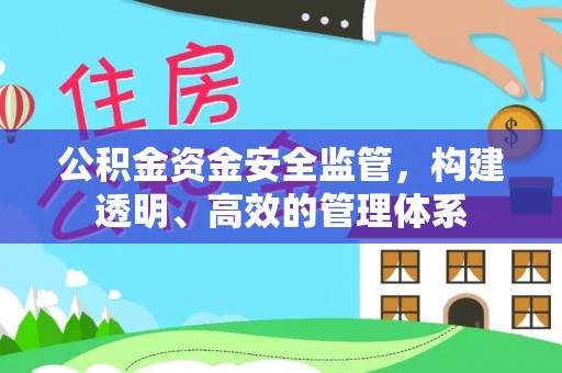博尔塔拉蒙古公积金资金安全监管，构建透明、高效的管理体系