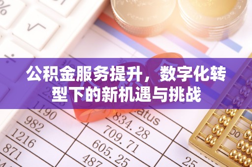 博尔塔拉蒙古公积金服务提升，数字化转型下的新机遇与挑战