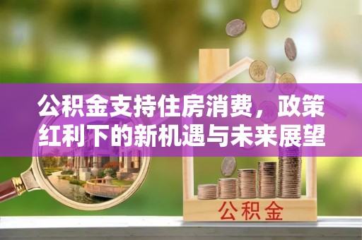 博尔塔拉蒙古公积金支持住房消费，政策红利下的新机遇与未来展望