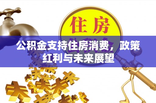 博尔塔拉蒙古公积金支持住房消费，政策红利与未来展望