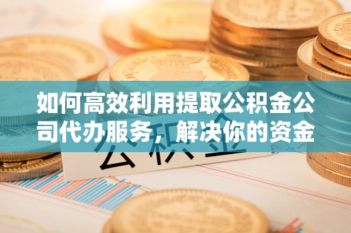 博尔塔拉蒙古如何高效利用提取公积金公司代办服务，解决你的资金难题