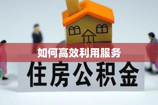 博尔塔拉蒙古如何高效利用服务