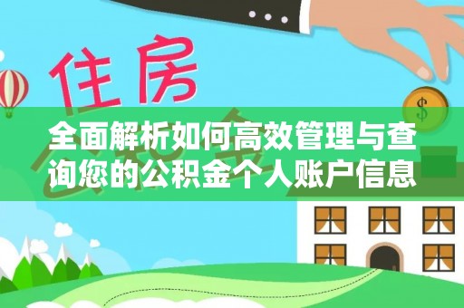 博尔塔拉蒙古全面解析如何高效管理与查询您的公积金个人账户信息
