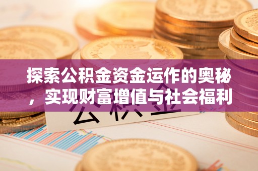 博尔塔拉蒙古探索公积金资金运作的奥秘，实现财富增值与社会福利双赢