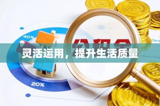 博尔塔拉蒙古灵活运用，提升生活质量