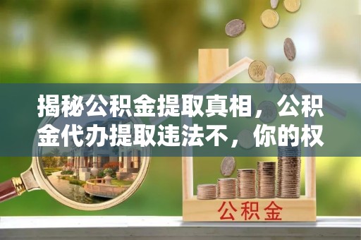 博尔塔拉蒙古揭秘公积金提取真相，公积金代办提取违法不，你的权益如何保障？