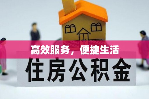 博尔塔拉蒙古高效服务，便捷生活