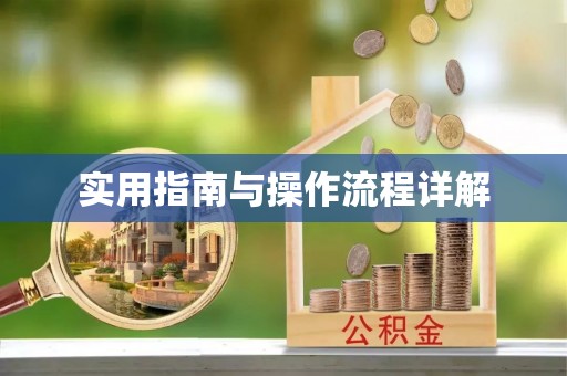 博尔塔拉蒙古实用指南与操作流程详解
