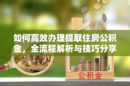 博尔塔拉蒙古如何高效办理提取住房公积金，全流程解析与技巧分享