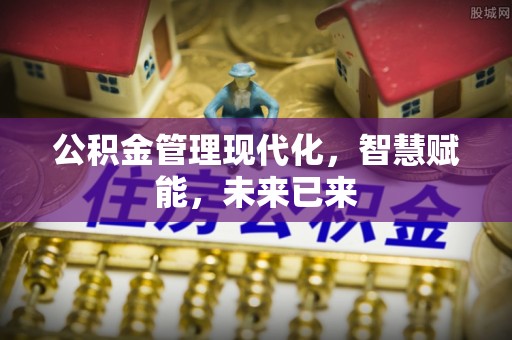 博尔塔拉蒙古公积金管理现代化，智慧赋能，未来已来