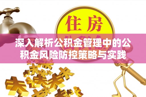 博尔塔拉蒙古深入解析公积金管理中的公积金风险防控策略与实践
