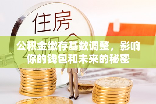 博尔塔拉蒙古公积金缴存基数调整，影响你的钱包和未来的秘密