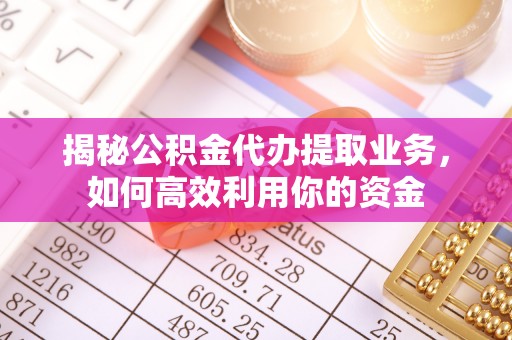 博尔塔拉蒙古揭秘公积金代办提取业务，如何高效利用你的资金