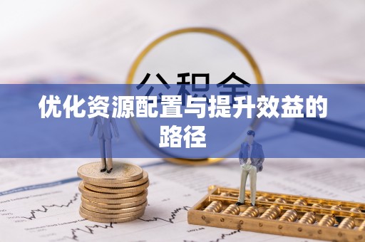 博尔塔拉蒙古优化资源配置与提升效益的路径