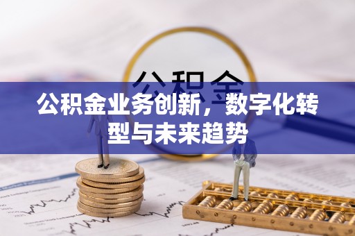 博尔塔拉蒙古公积金业务创新，数字化转型与未来趋势