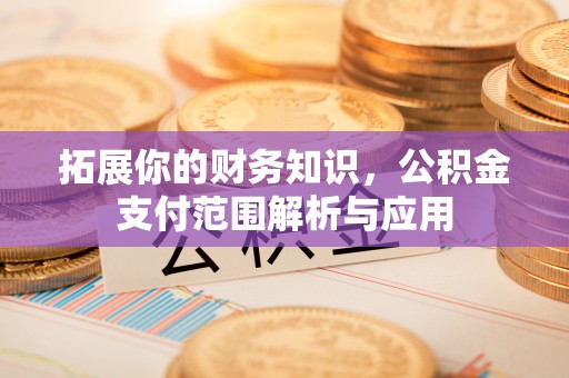 博尔塔拉蒙古拓展你的财务知识，公积金支付范围解析与应用