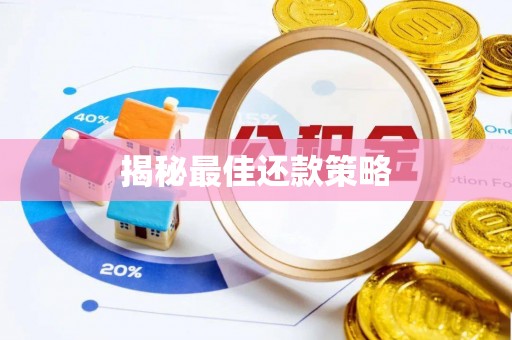博尔塔拉蒙古揭秘最佳还款策略