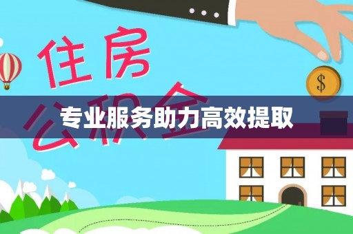 博尔塔拉蒙古专业服务助力高效提取