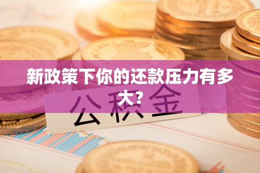 博尔塔拉蒙古新政策下你的还款压力有多大？
