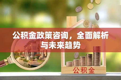 博尔塔拉蒙古公积金政策咨询，全面解析与未来趋势
